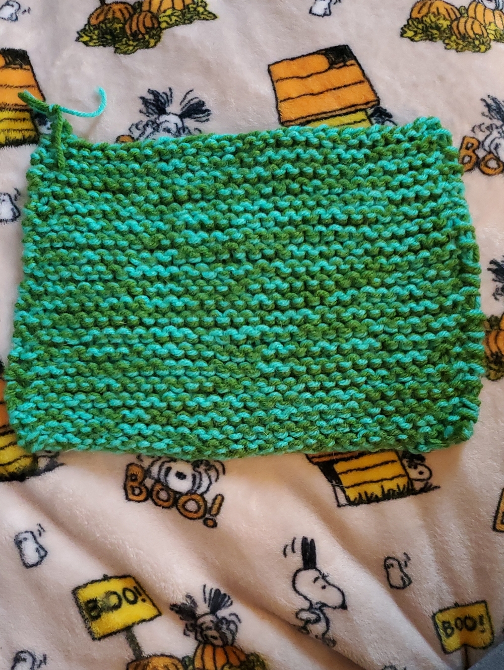 Sour Apple Dish Cloth
